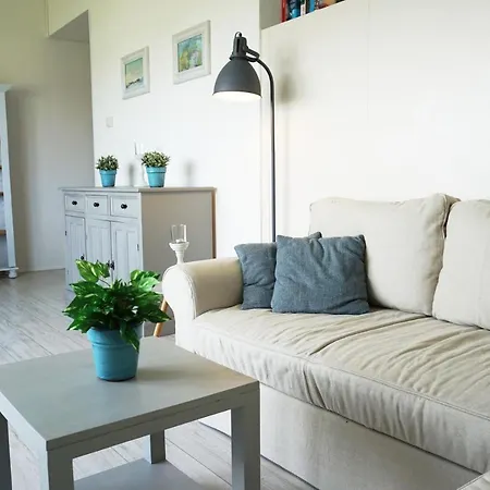 Strandslag Juliana 231